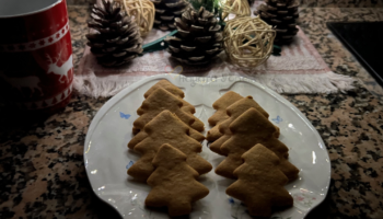 Gingerbread Cookies